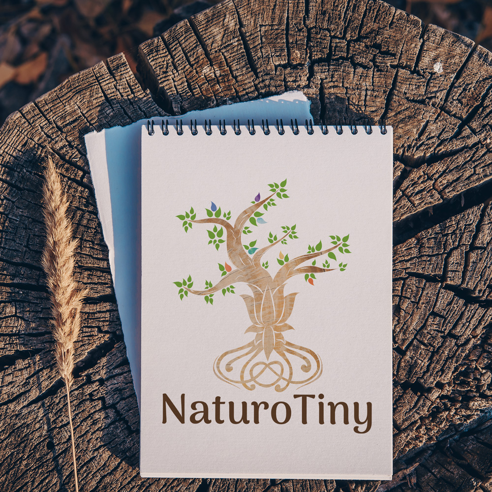 Mandala Bird Graphiste Marmande Naturotiny Logo